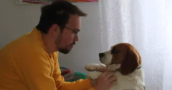 baptiste pet sitter à WILLEMS 59780