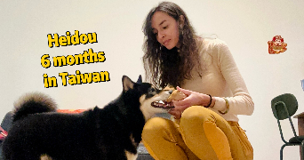 sianne dog sitter à CANNES 06400_3