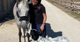 romane pet sitter à VELIZY VILLACOUBLAY 78140_1