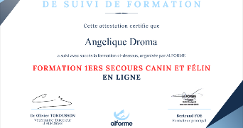 Angelique pet sitter à VIREUX MOLHAIN 08320_4