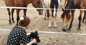 oanell pet sitter à BORDEAUX 33000_1