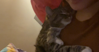 enkhgerel pet sitter à PARIS 04 75004_4