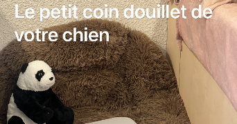 peiyi pet sitter à CHAMBERY 73000_6