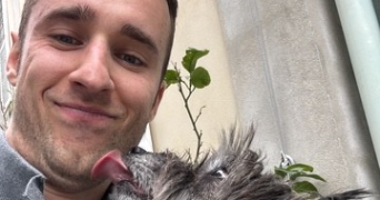 paul pet sitter à ORLEANS 45000_1