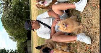 dylan pet sitter à MONTIGNY LE BRETONNEUX 78180_7