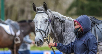 kassandre pet sitter à LE KREMLIN BICETRE 94270_1