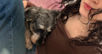 océliane pet sitter à ST CHAMOND 42400_1
