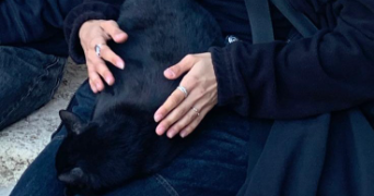 eva-luz pet sitter à MARSEILLE 08 13008_2