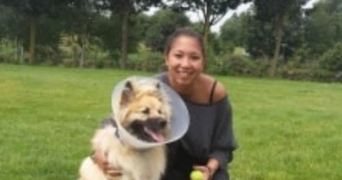 sophia pet sitter à LILLE 59000_1