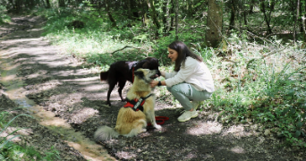 chloé dog sitter à AIXE SUR VIENNE 87700_5