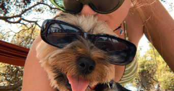 emilie dog sitter à Paris 75018_0