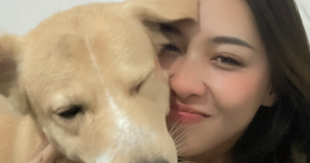 ayu pet sitter à BREST 29200_0