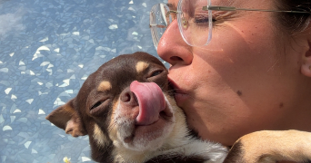 laura pet sitter à MARSEILLE 10 13010_0