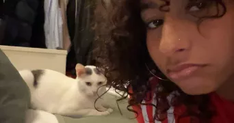 cassidy pet sitter à LE BLANC MESNIL 93150