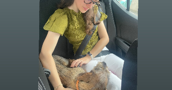 camille pet sitter à BORDEAUX 33000_8