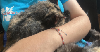 eliana pet sitter à CHAVILLE 92370_1