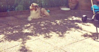 nadège pet sitter à Metz 57070_8