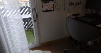 helene pet sitter à COLOMIERS 31770_2