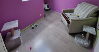 marion pet sitter à ST NICOLAS 62223_3