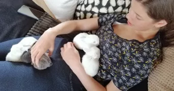 thais pet sitter à TORCE EN VALLEE 72110