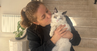 dehia  pet sitter à LILLE 59000_1