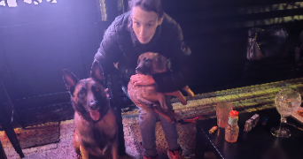 alizée dog sitter à LORIENT 56100_7