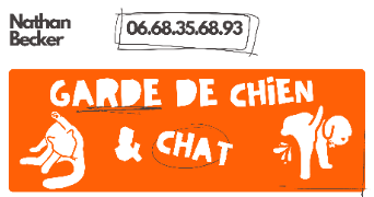 nathan pet sitter à BEDARIEUX 34600_1