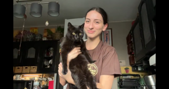 alycia pet sitter à ALBIAS 82350_1