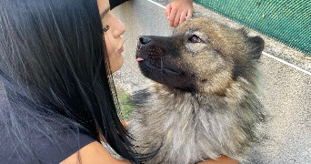 eléa pet sitter à BAILLARGUES 34670_3