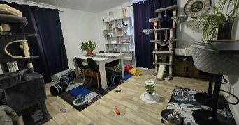 killian pet sitter à REIMS 51100_0