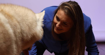 alexia pet sitter à WISSOUS 91320_4