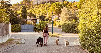 mirra pet sitter à CAVAILLON 84300_0