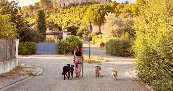 mirra pet sitter à CAVAILLON 84300