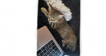 julie pet sitter à DRAGUIGNAN 83300_1