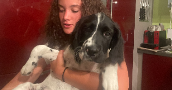 alicia pet sitter à MAIDIERES 54700_2