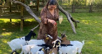 mélissa pet sitter à CENON 33150_4