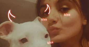 nell pet sitter à SALLANCHES 74700