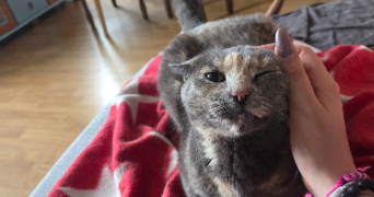 florence pet sitter à RIORGES 42153_4
