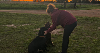 lila pet sitter à PLUMELEC 56420_3