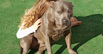 gwenaëlle pet sitter à CASTELSARRASIN 82100_6