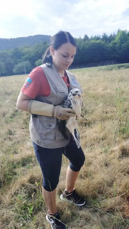 sarah pet sitter à BOLLWILLER 68540