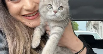 munevver cat sitter à OBERHAUSBERGEN 67205