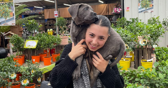 mya pet sitter à TREGUEUX 22950_1