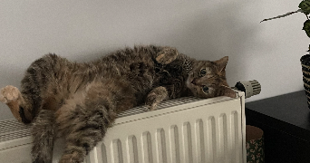 charlotte pet sitter à Lyon 69009_2