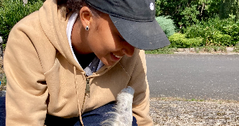 louise pet sitter à PARIS 14 75014_1