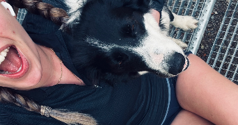 celia pet sitter à CHISSEY EN MORVAN 71540_1