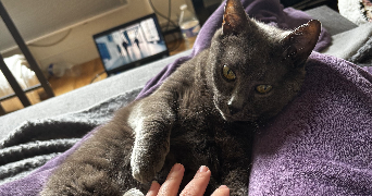 kassandre pet sitter à ORLEANS 45000_2