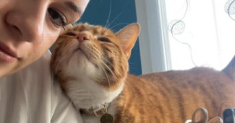 tiffany pet sitter à PICQUIGNY 80310_2