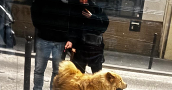 aline dog sitter à PARIS 18 75018_5