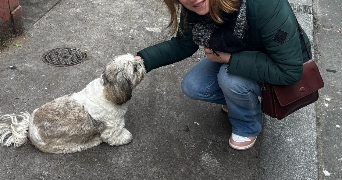 mathilde pet sitter à LA MADELEINE 59110_3